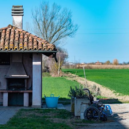 Agriturismo Garzole Кастельфранко-Эмилия Экстерьер фото